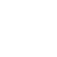 icon1