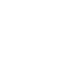 icon1