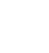 icon1