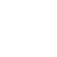 icon1