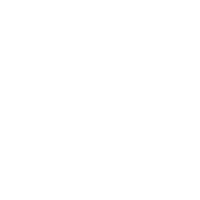 icon1