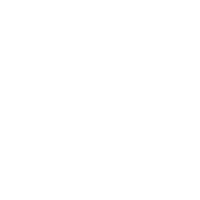 icon1