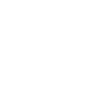 icon1