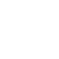 icon1