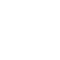 icon1